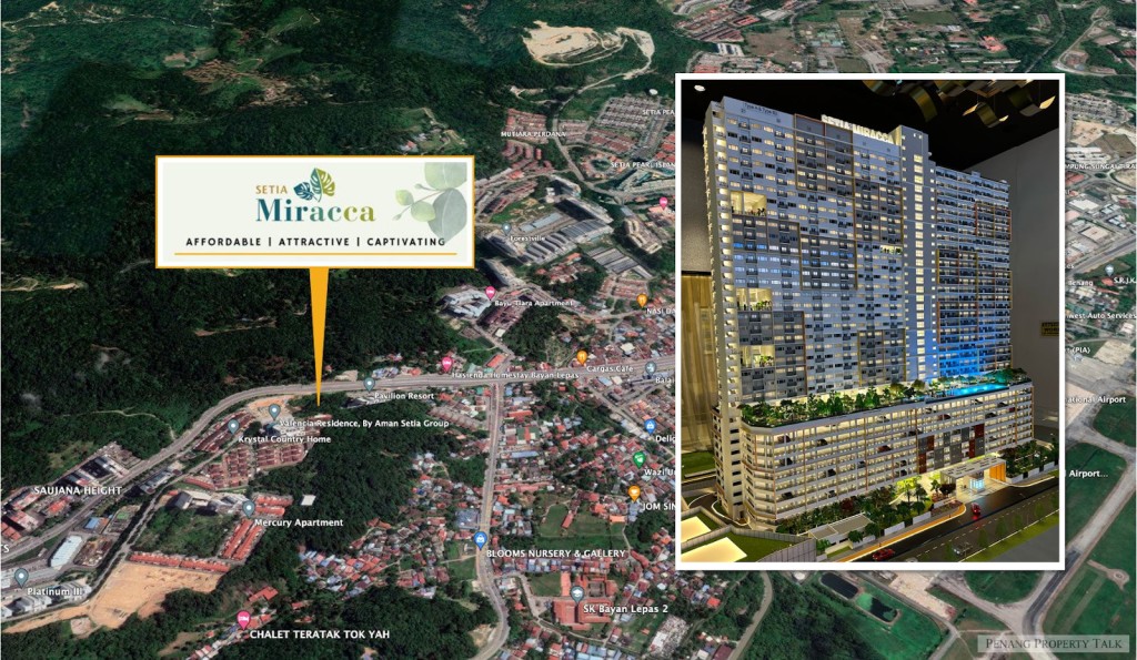 setia-miracca-main-2