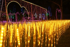 vision-park-8