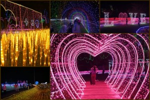 vision-park-tn