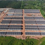 d'aleena-site-progress-may2025-3