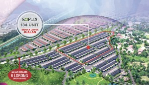 sophia-site-view