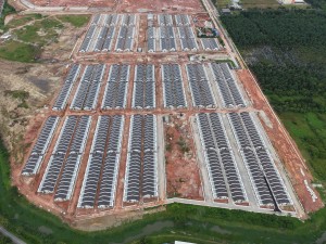 daleena-site-progress-sep-2025-4