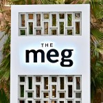the-meg